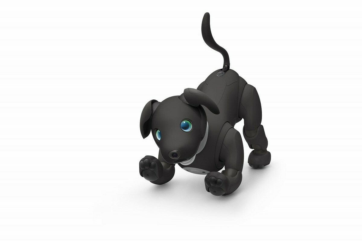 Sony aibo Espresso
