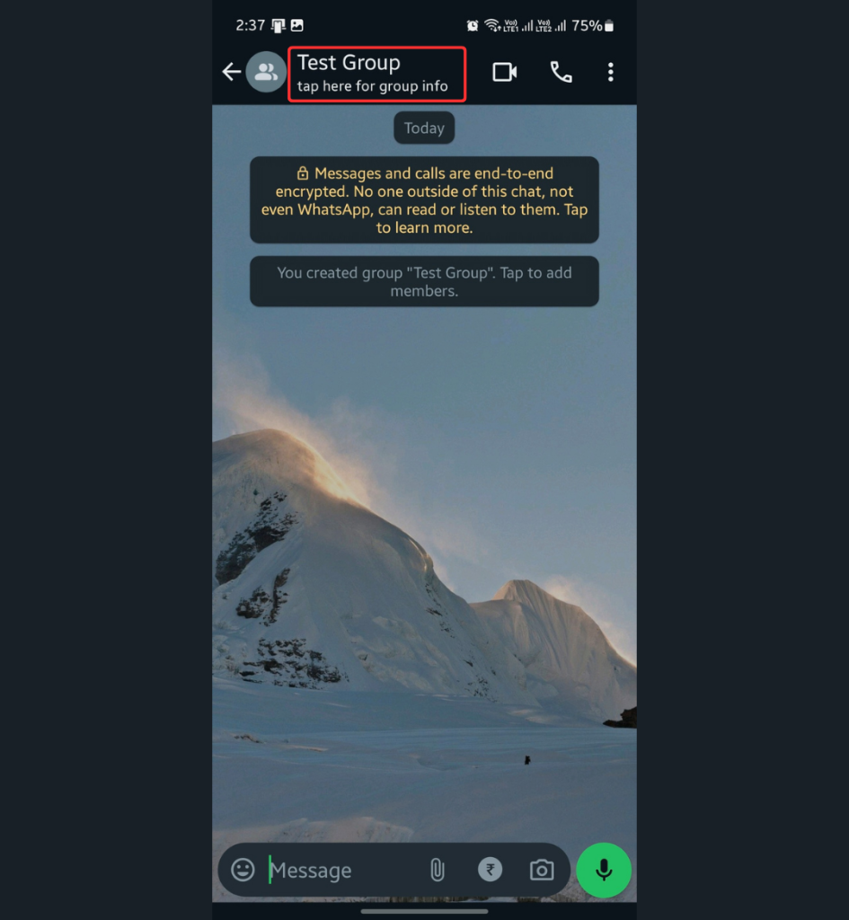 WhatsApp group info