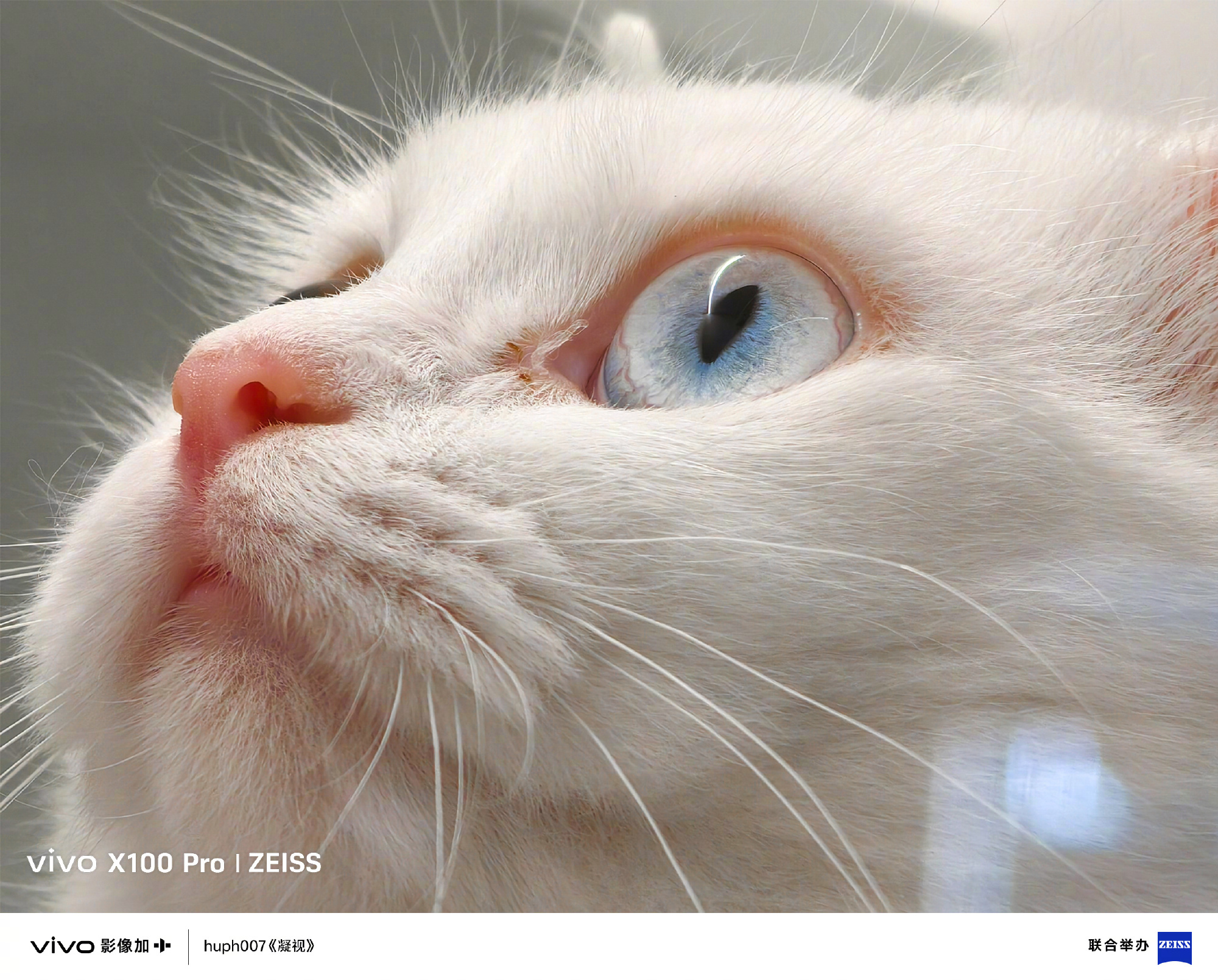 Vivo X Fold 3 Pro image samples