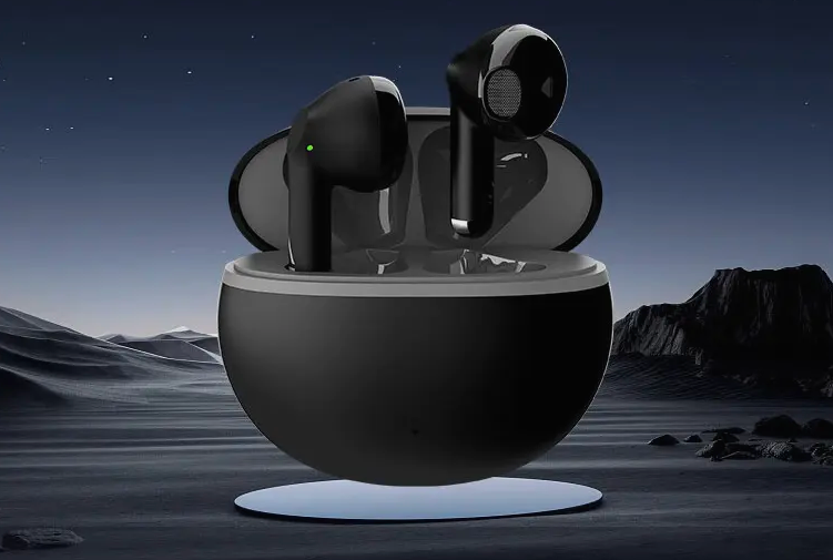Earphones