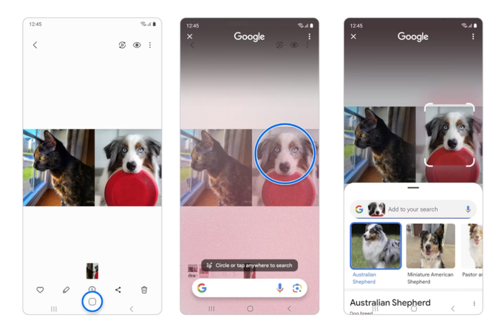 一个 UI 6.1 循环搜索