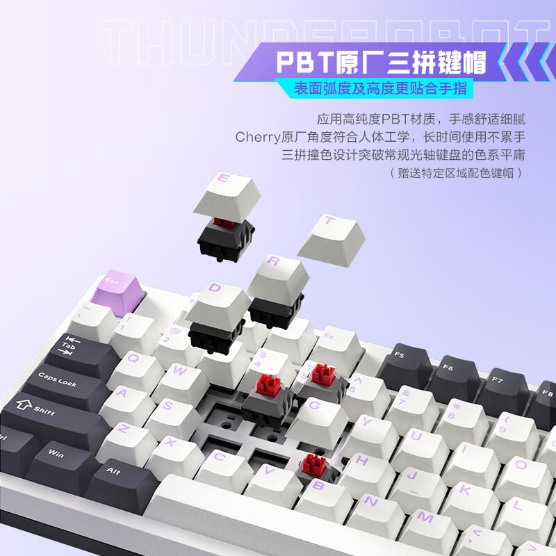 ThundeRobot T96 Keyboard