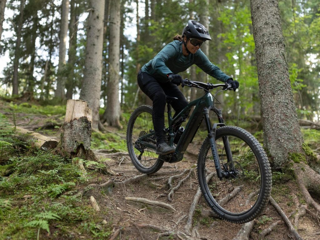 Decathlon Rockrider E-FEEL 900 S electric all-mountain bike 