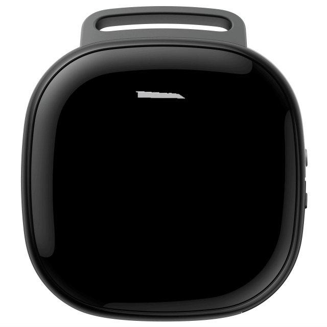 Google Fitbit Ace LTE