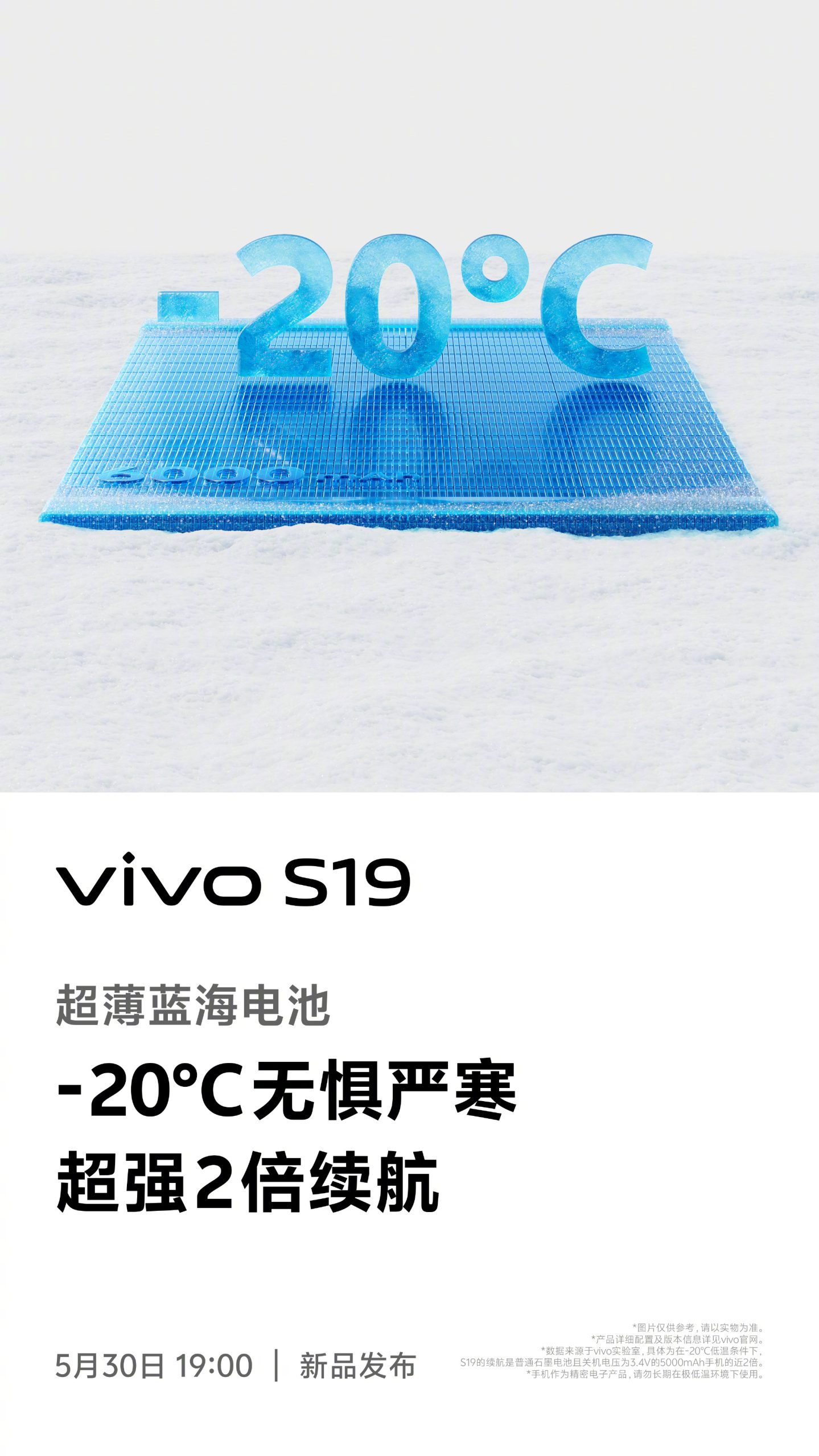 Vivo S19 电池