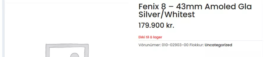 Garmin Fenix 8 Watch leak