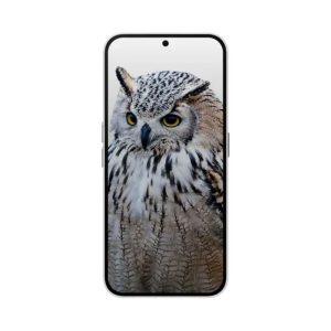 Nothing Phone 2a Plus