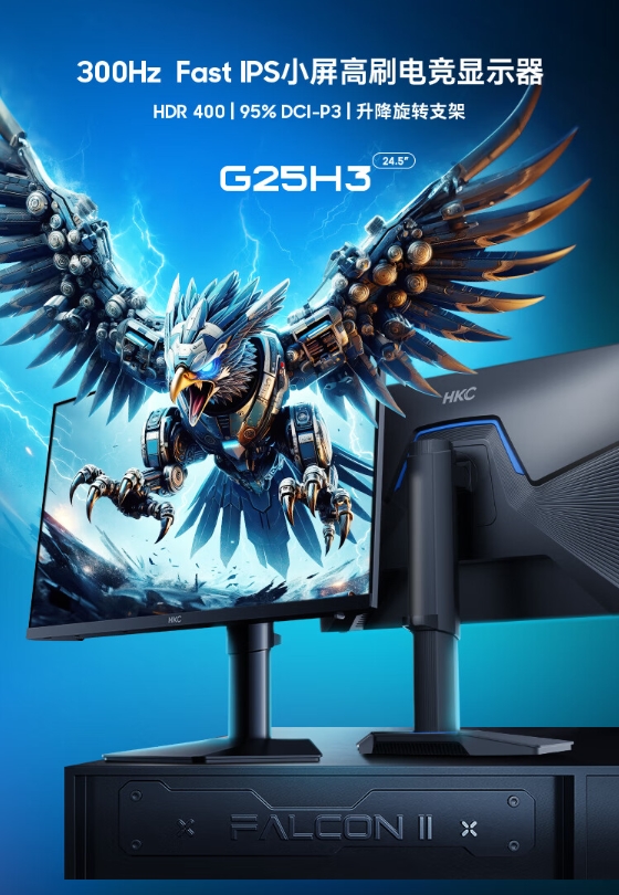 HKC Falcon II G25H3 Monitor