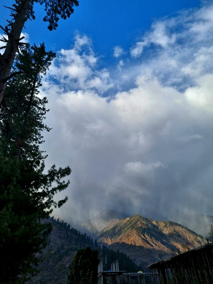 Samsung Galaxy S21 FE Camera Sample