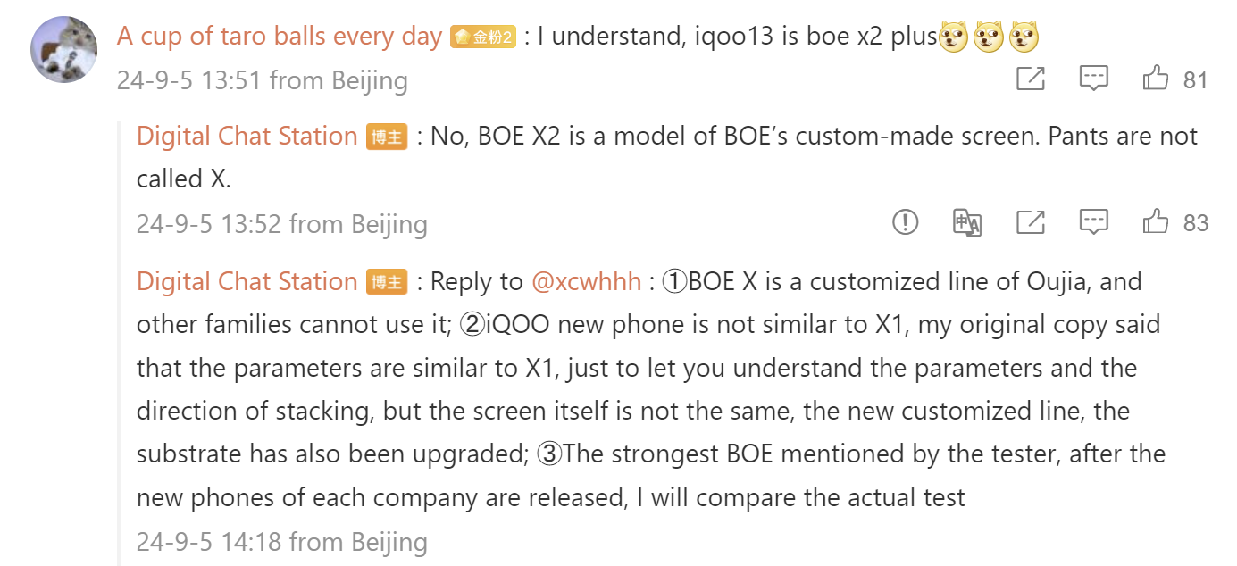 iQOO 13 display specs leak