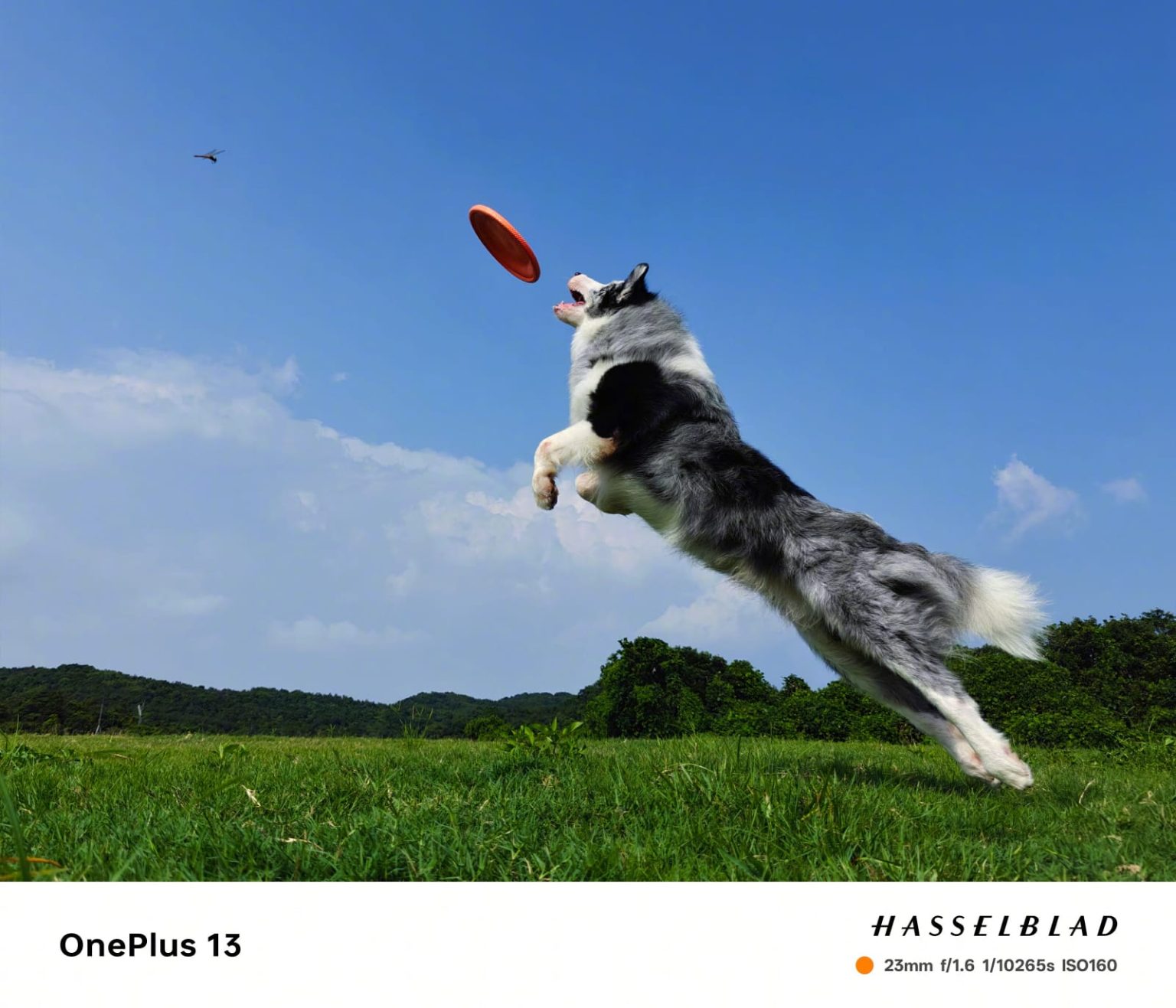 OnePlus 13 camera samples show impressive Motion Capture and Portrait ...