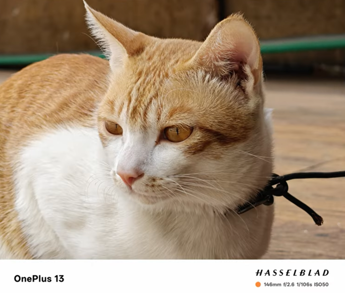 OnePlus-13-camera-sample