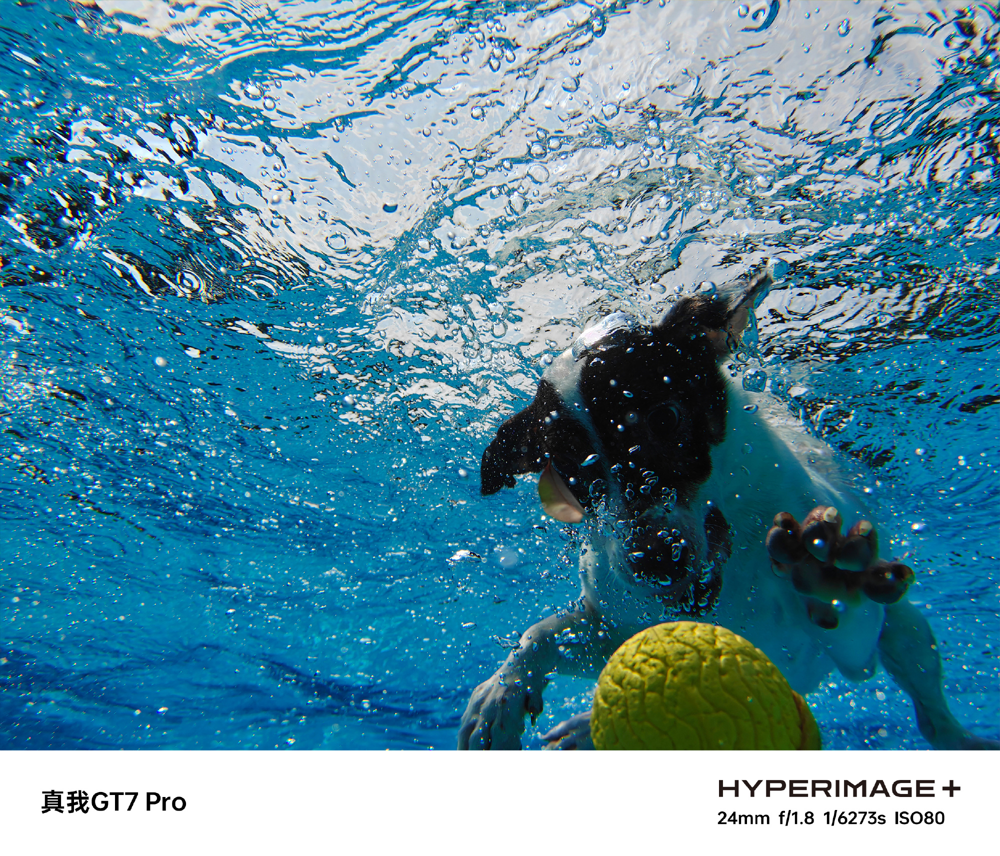 Realme GT 7 Pro underwater photo sample