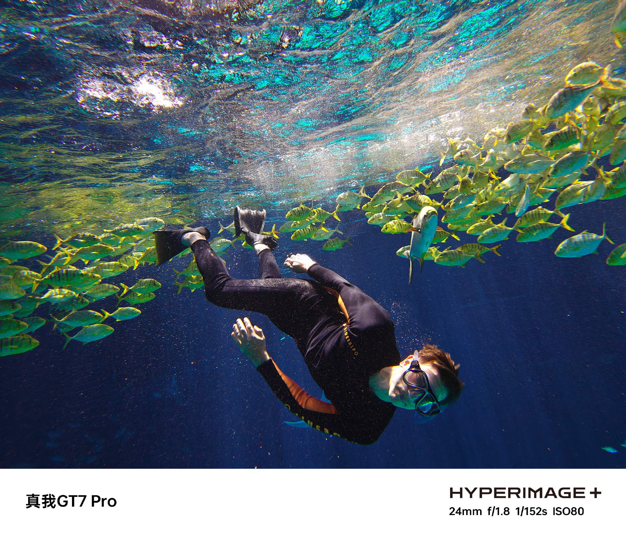 Realme GT 7 Pro underwater photo sample
