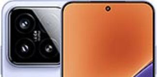 Comparing iQOO 13 and Xiaomi 15: Which is Better? iQOO 13 and Xiaomi 15