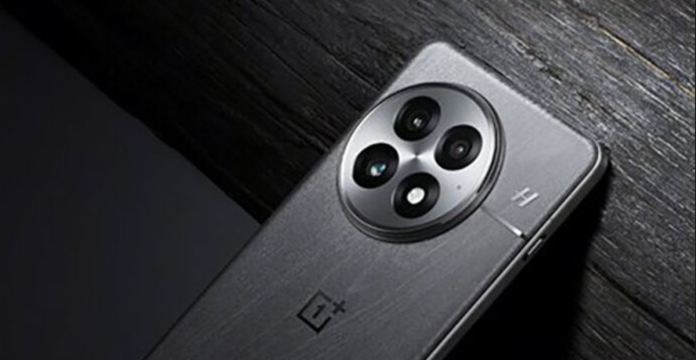 iQOO 13 and OnePlus 13