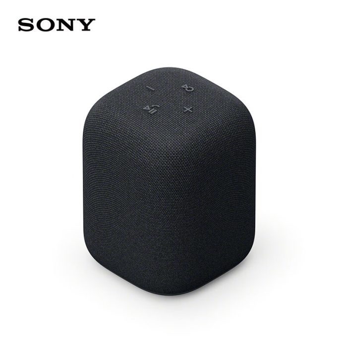 Sony
