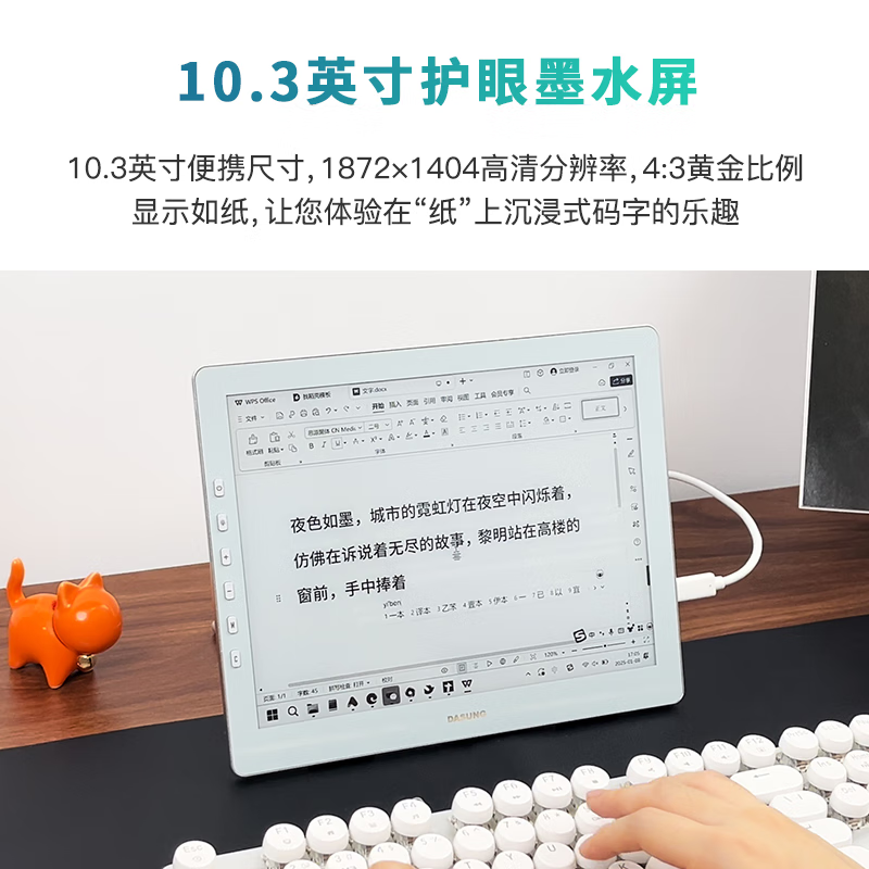 Dasung Paperlike 103