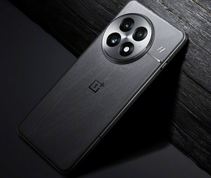 OnePlus 13