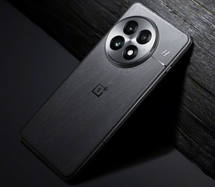 OnePlus 13