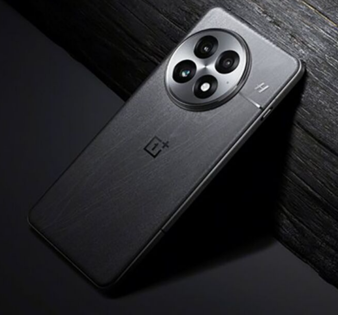 Oneplus 13