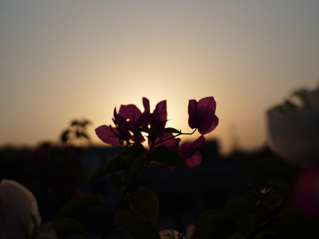 Viltrox AF 25mm F1.7 Air Review