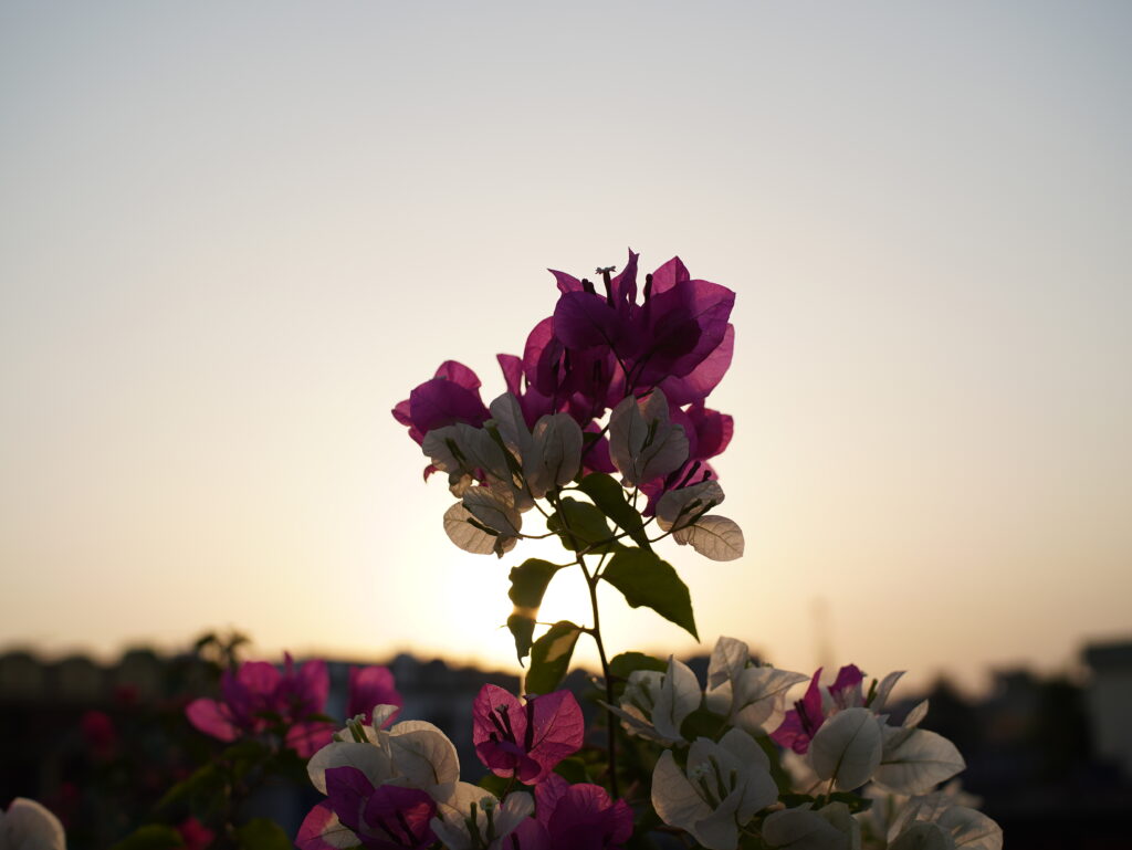 Viltrox AF 25mm F1.7 Air Review