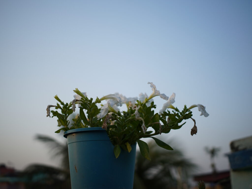 Viltrox AF 25mm F1.7 Air Review