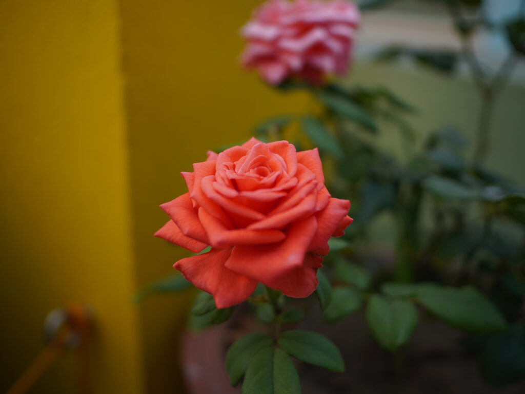 Viltrox AF 25mm F1.7 Air Review