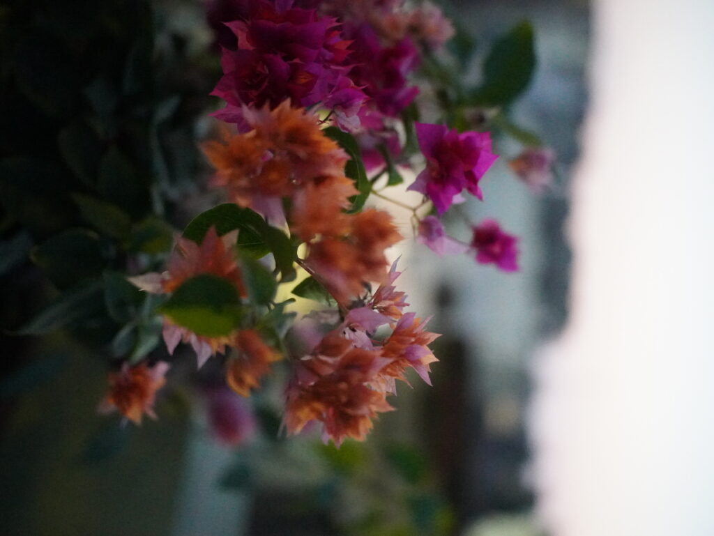 Viltrox AF 25mm F1.7 Air Review