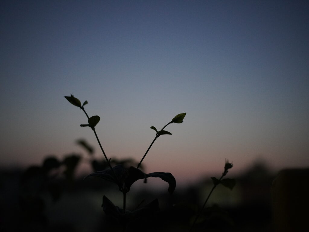 Viltrox AF 25mm F1.7 Air Review