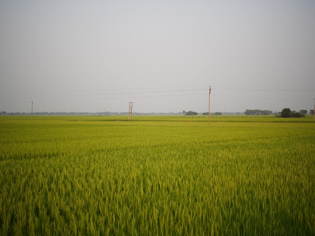 Viltrox AF 25mm F1.7 Air Review