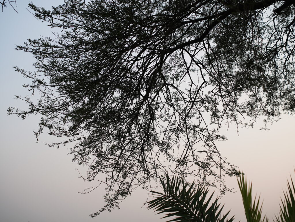 Viltrox AF 25mm F1.7 Air Review