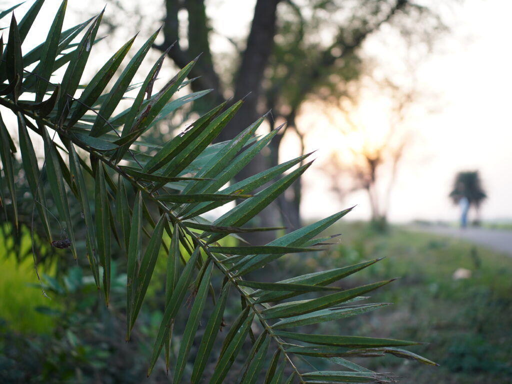 Viltrox AF 25mm F1.7 Air Review