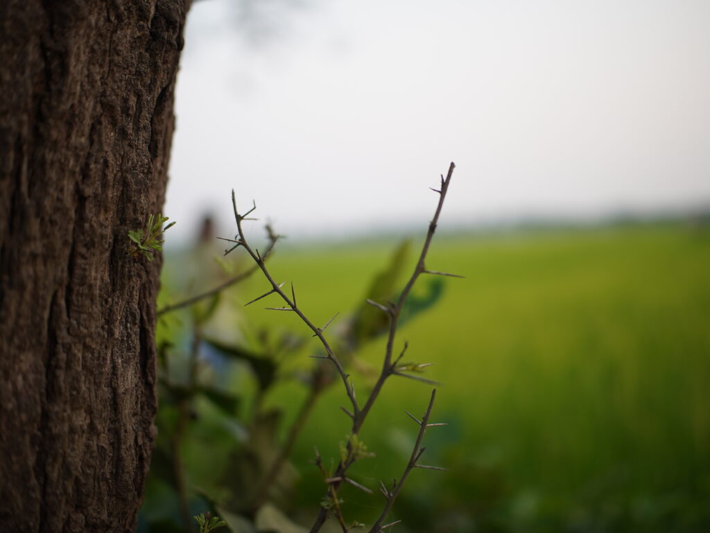 Viltrox AF 25mm F1.7 Air Review