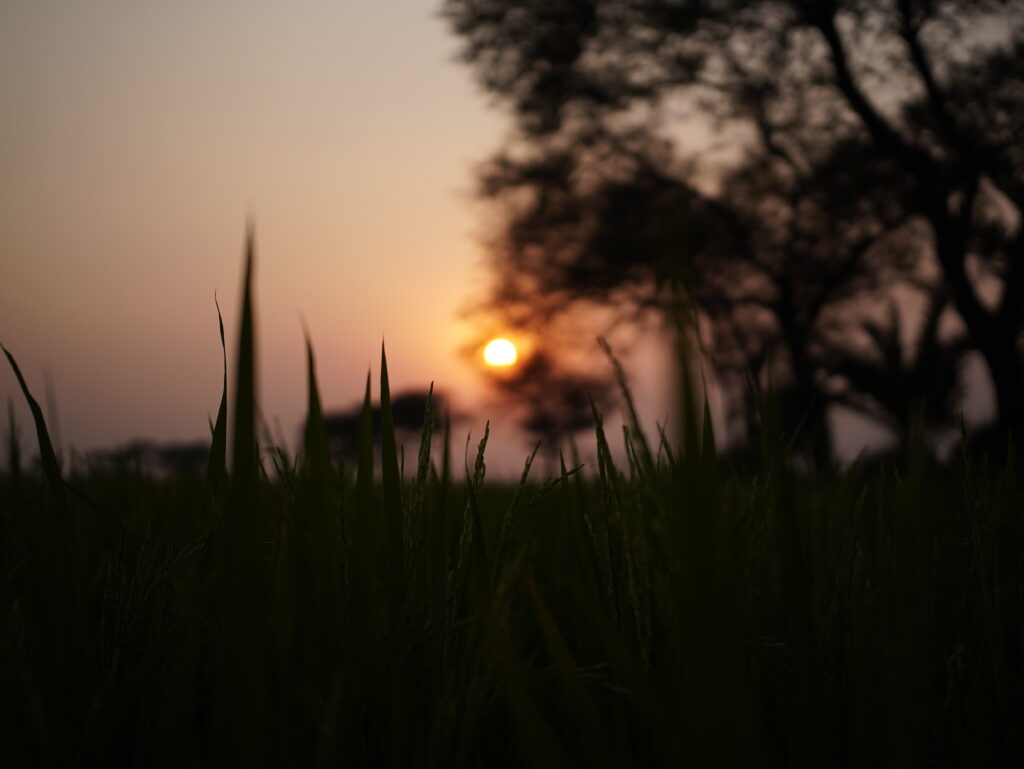 Viltrox AF 25mm F1.7 Air Review