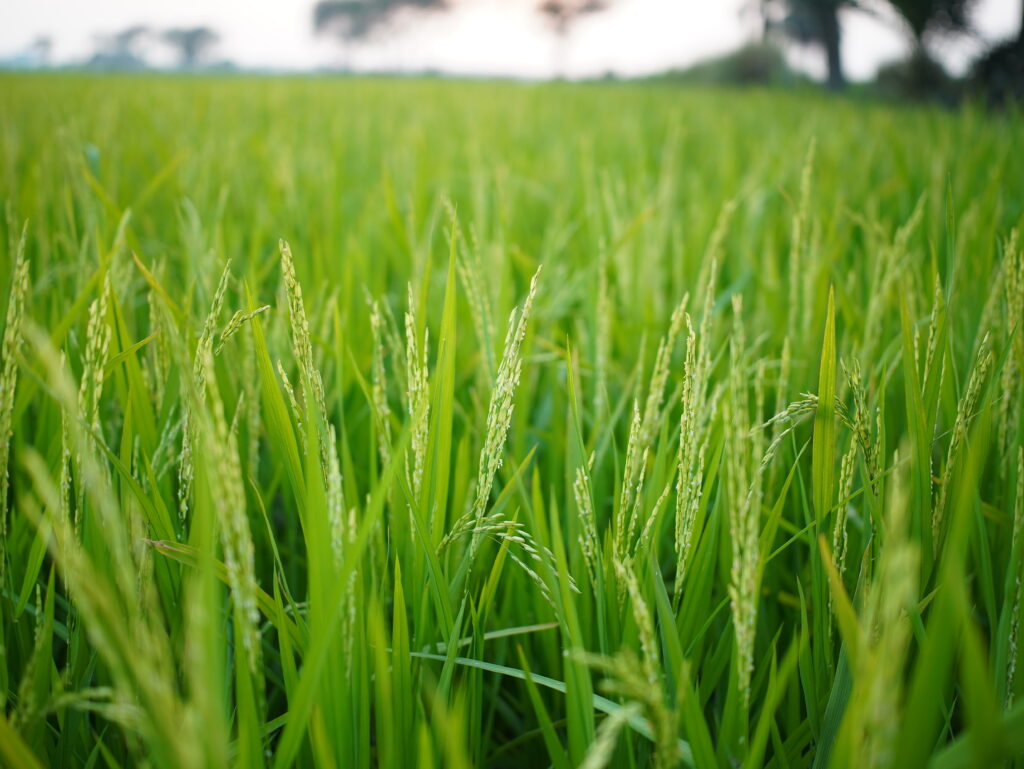 Viltrox AF 25mm F1.7 Air Review