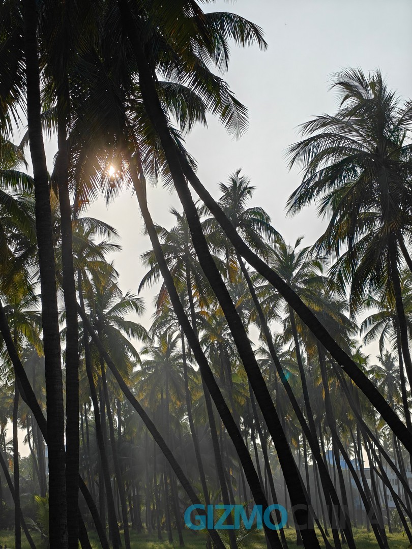 OnePlus 13 Camera Sample