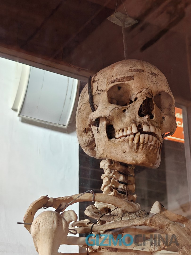 OnePlus 13 Camera Sample