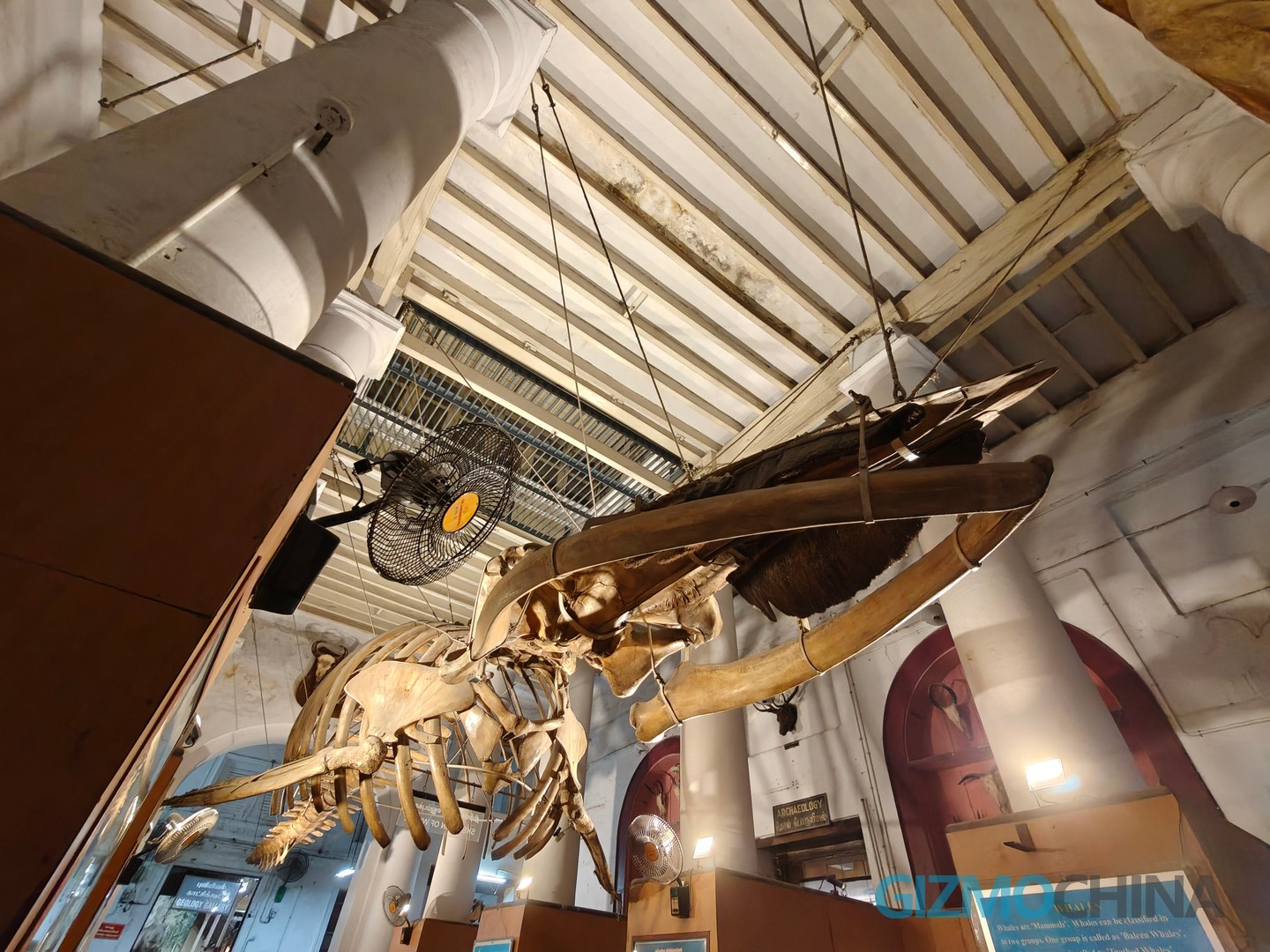 OnePlus 13 Camera Sample