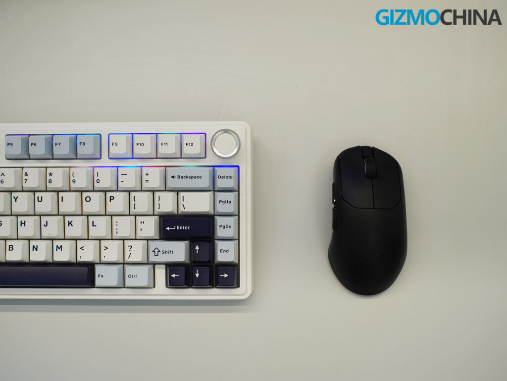 Zaopin ZPW Max Gaming Mouse Review