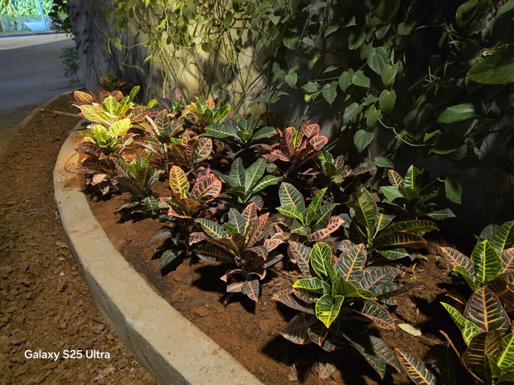 Galaxy S25 Ultra camera sample 6