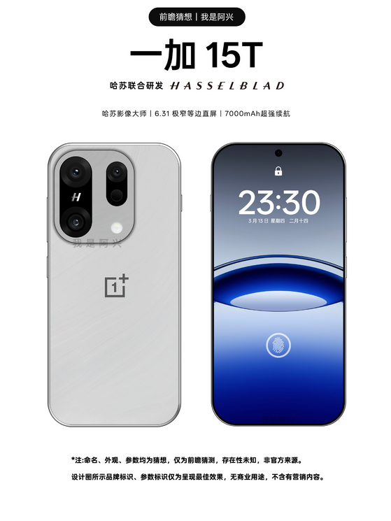 OnePlus 13S