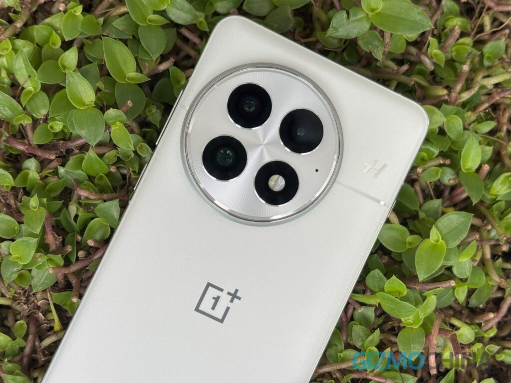 वनप्लस 13 आर्कटिक डॉन