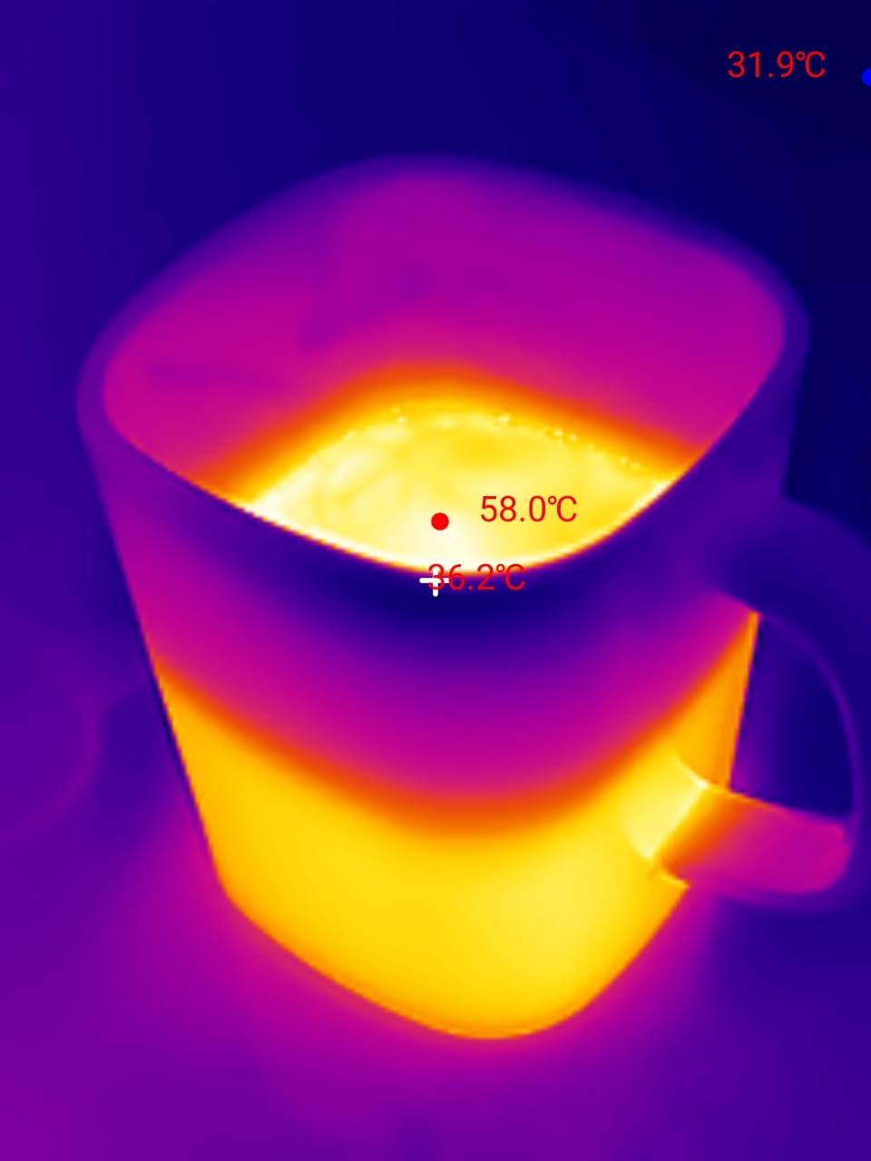 Thermal Master P3 image options