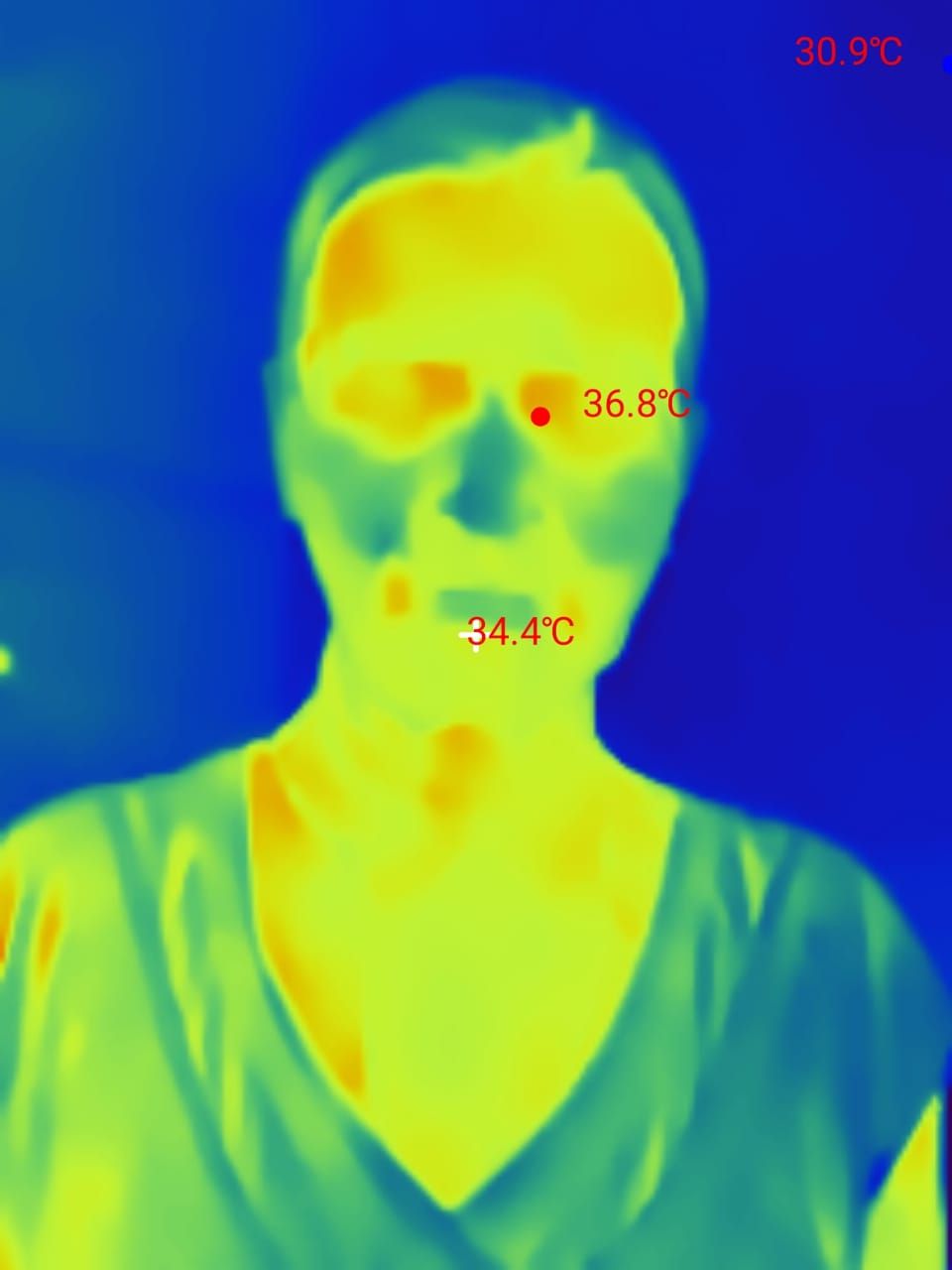 Thermal Master P3