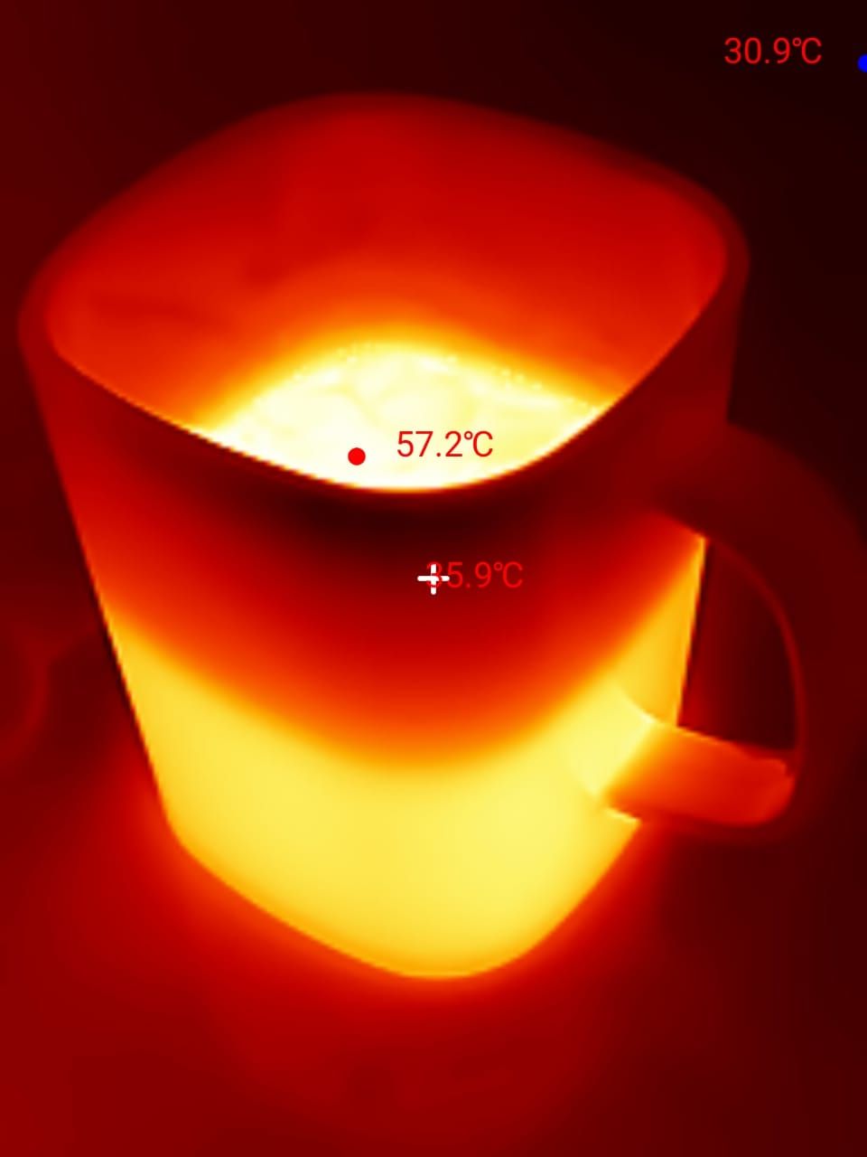 Thermal Master P3 image options