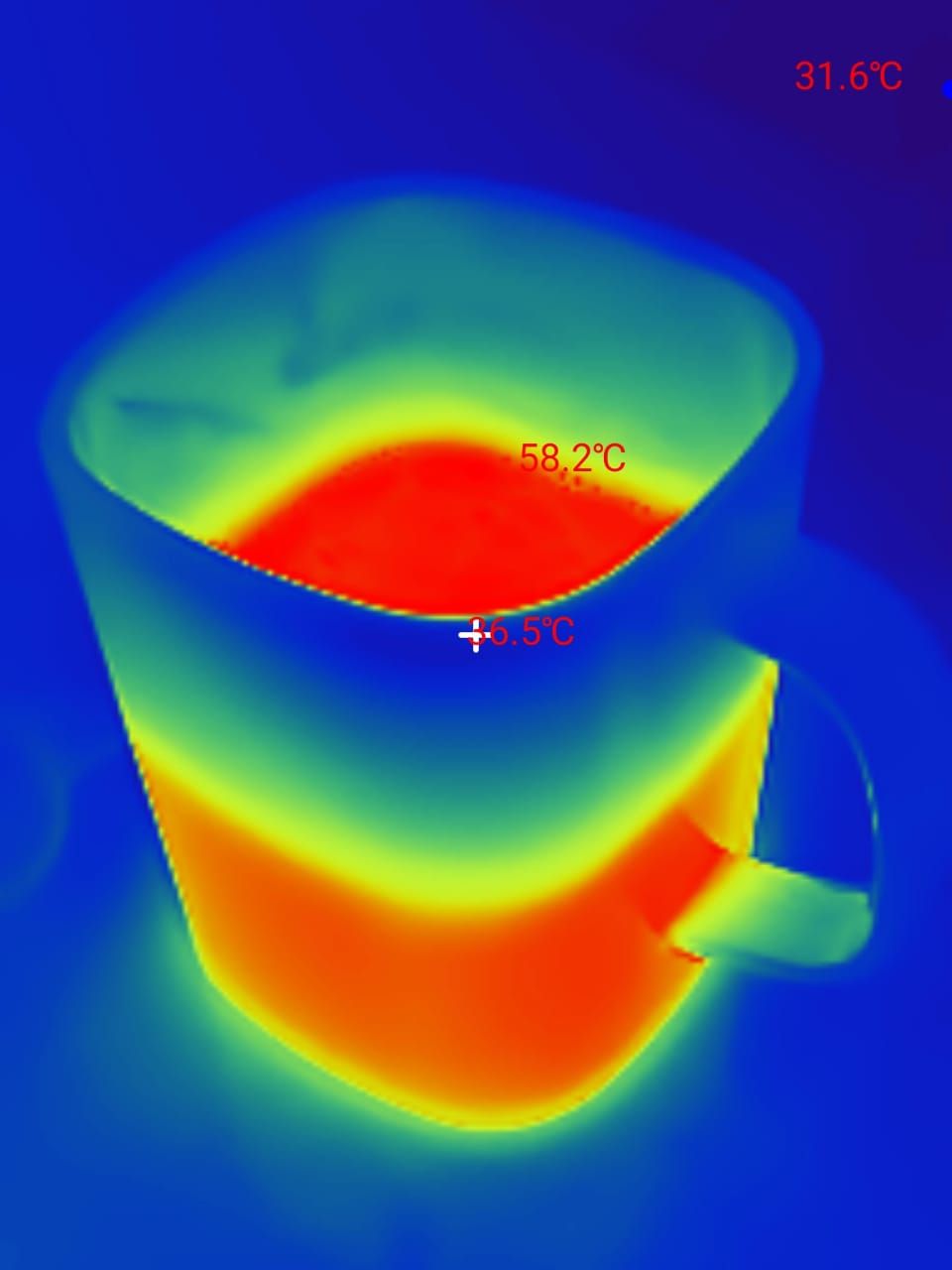 Thermal Master P3 image options