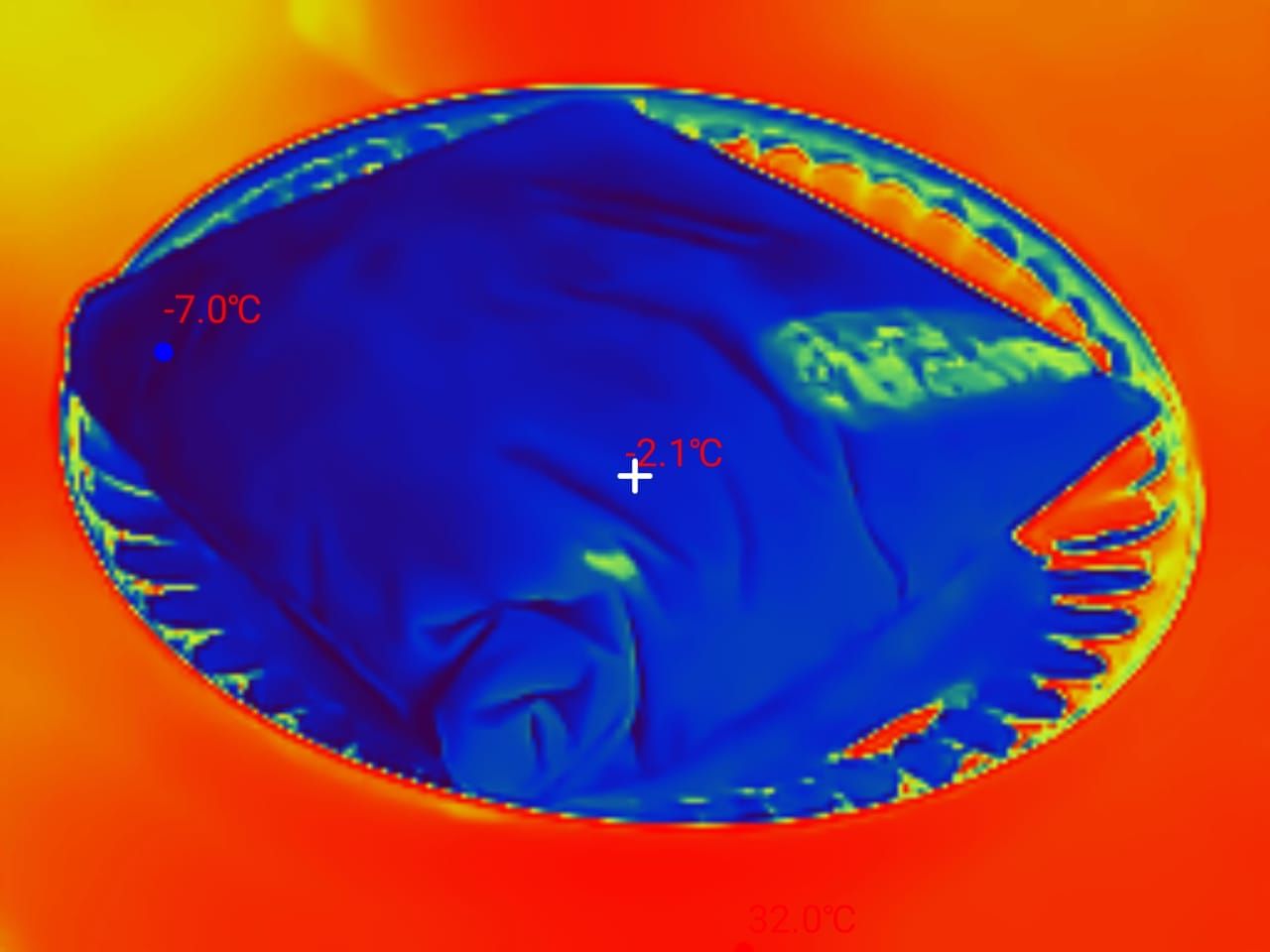 Thermal Master P3