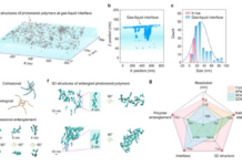 Tech War Intensifies: China’s Lithography Breakthrough Challenges U.S. Semiconductor Edge China Chip research